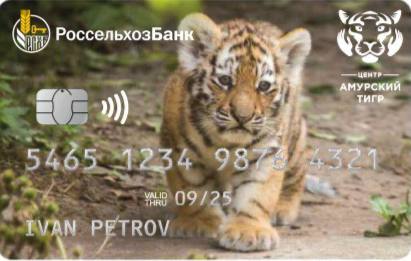 Кредитная карта «Амурский тигр»